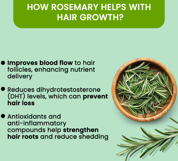 Alps Rosemary Water 100-ml hair spray for regrowth (Pack of-3)